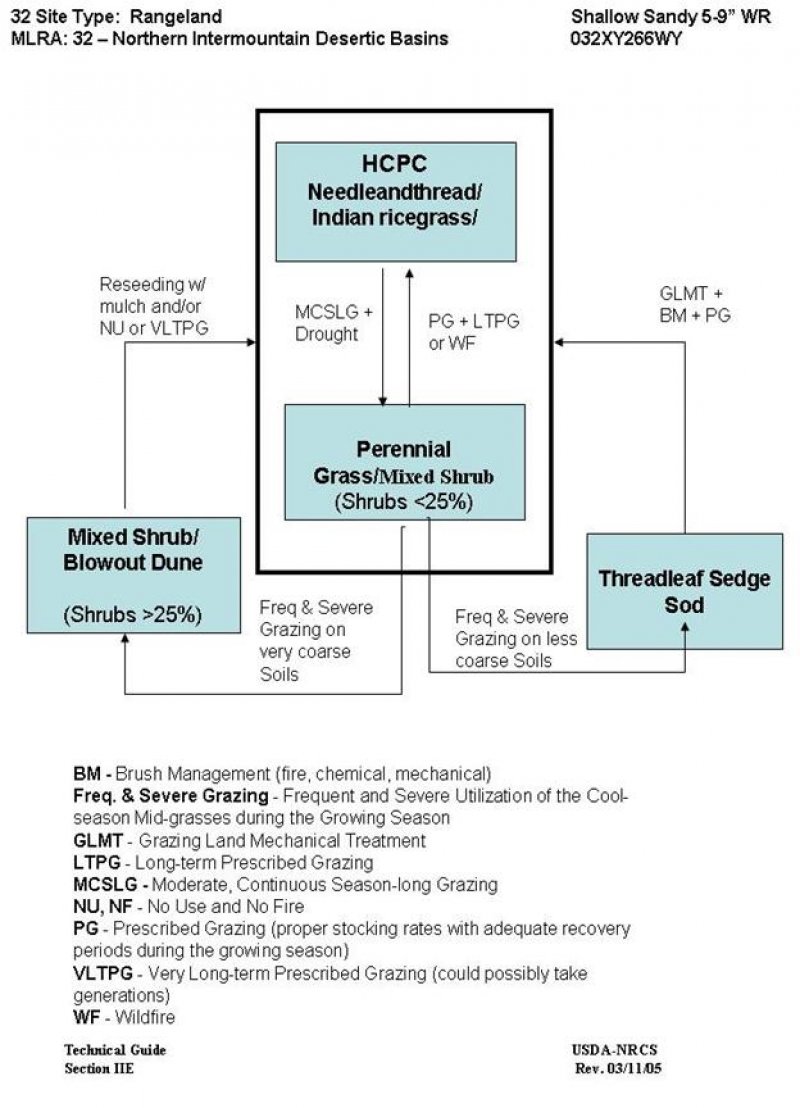 Model diagram