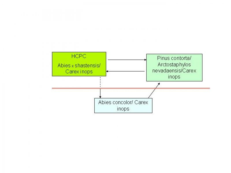 Model diagram