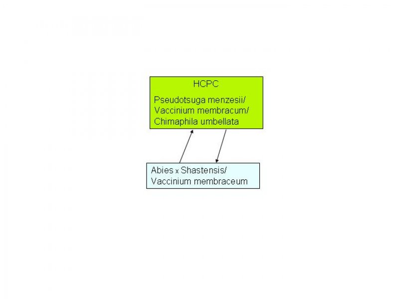 Model diagram