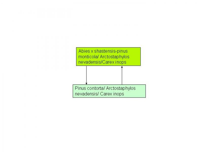 Model diagram