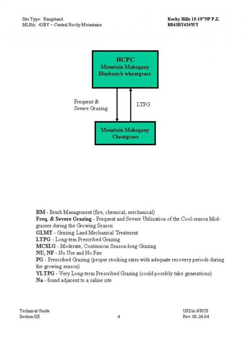 Model diagram
