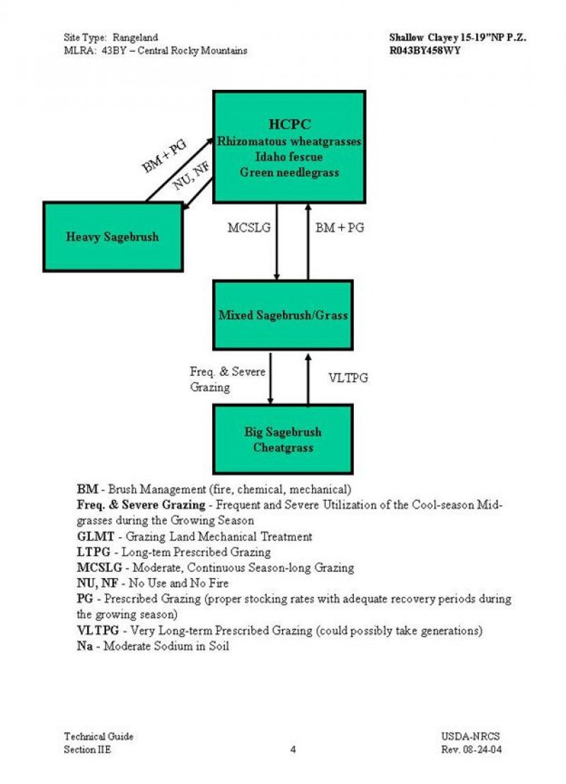 Model diagram