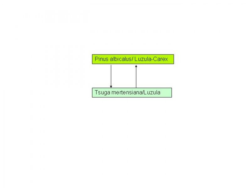 Model diagram