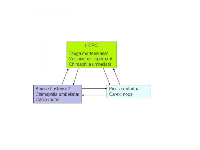 Model diagram
