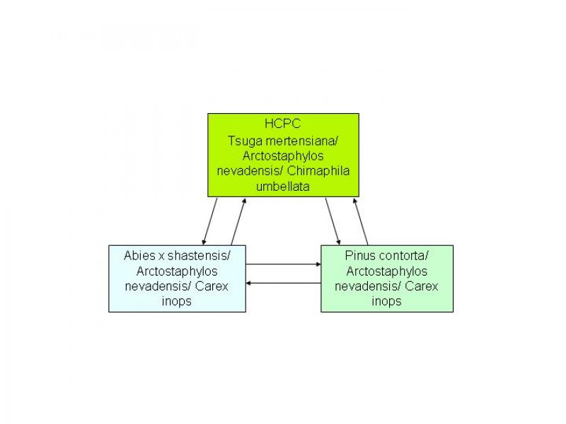 Model diagram