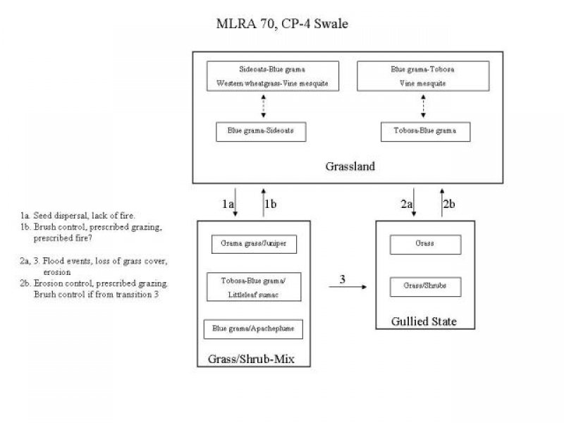Model diagram