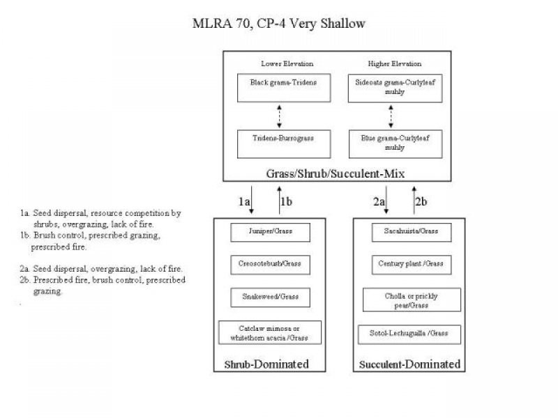 Model diagram