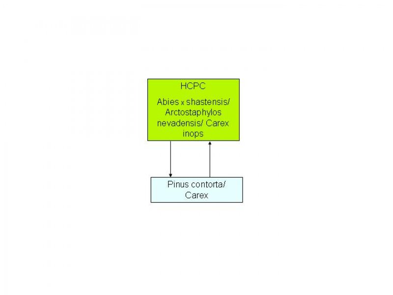 Model diagram