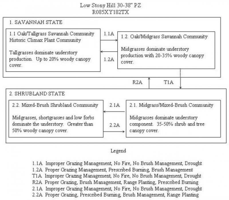 Model diagram