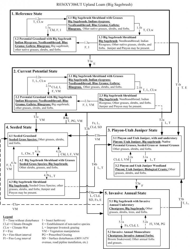 Model diagram
