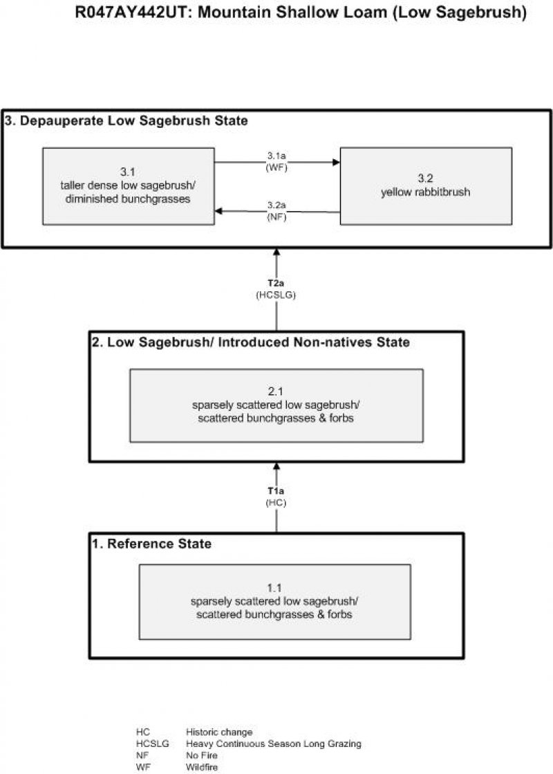Model diagram