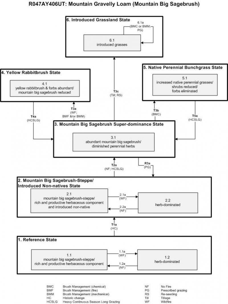 Model diagram