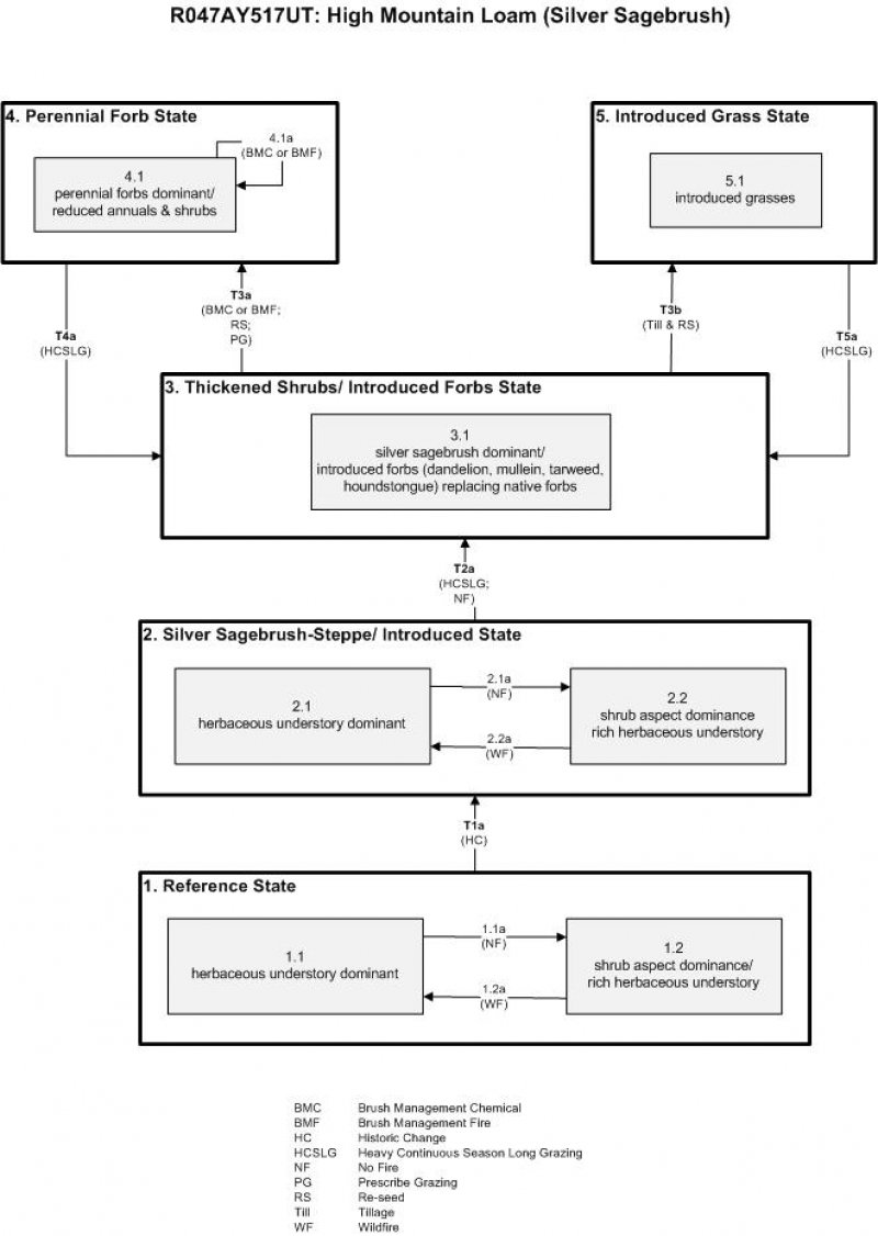 Model diagram