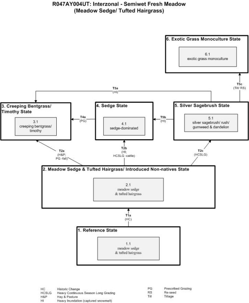 Model diagram
