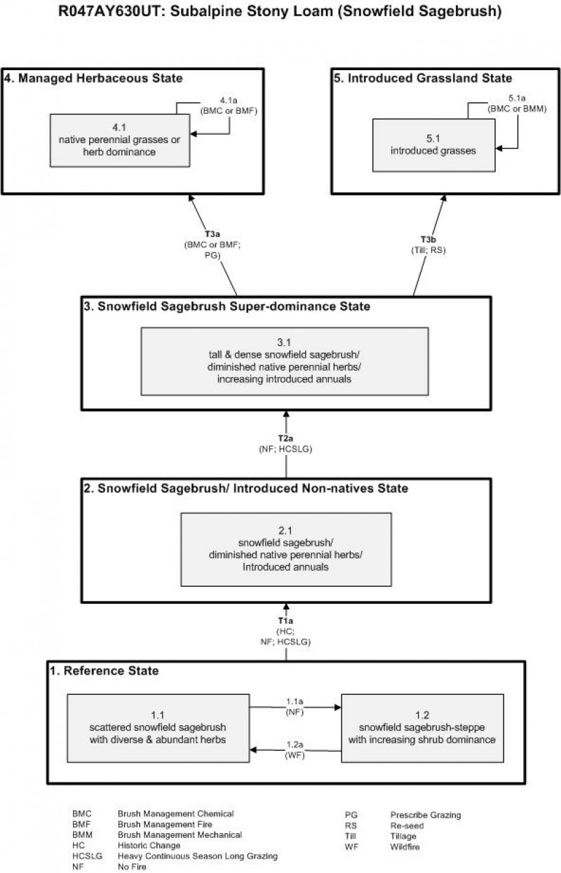 Model diagram