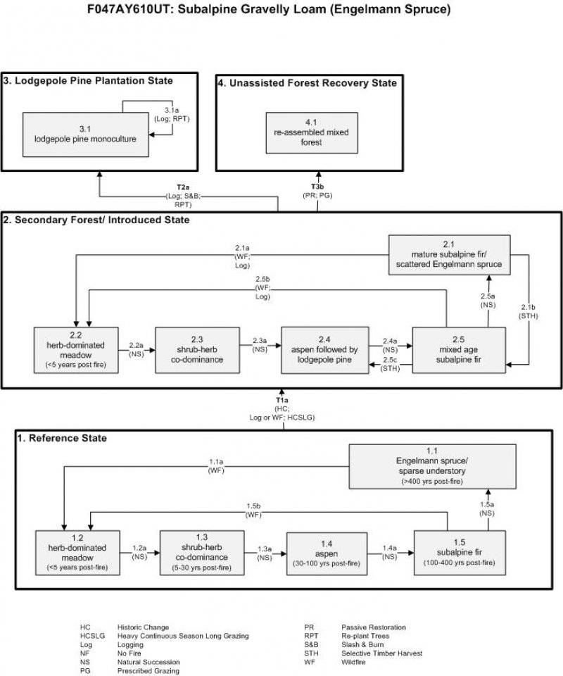 Model diagram