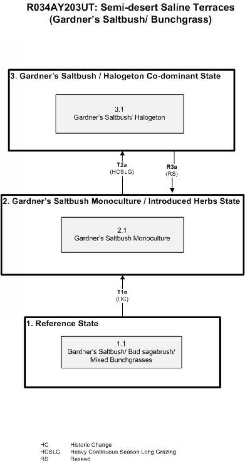 Model diagram