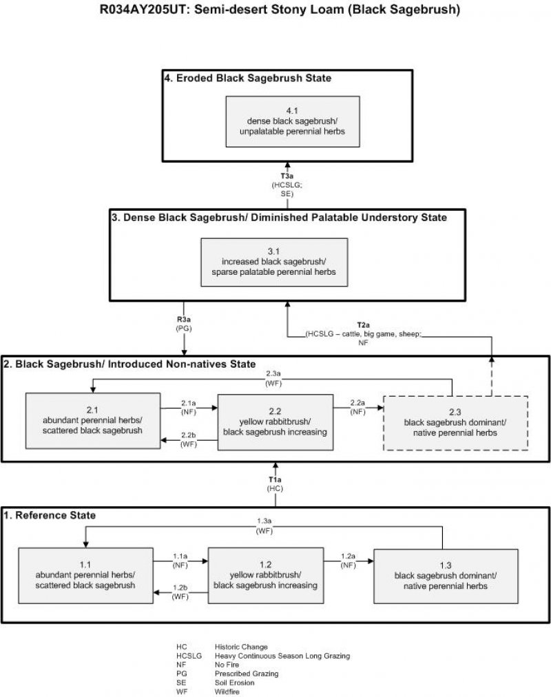 Model diagram