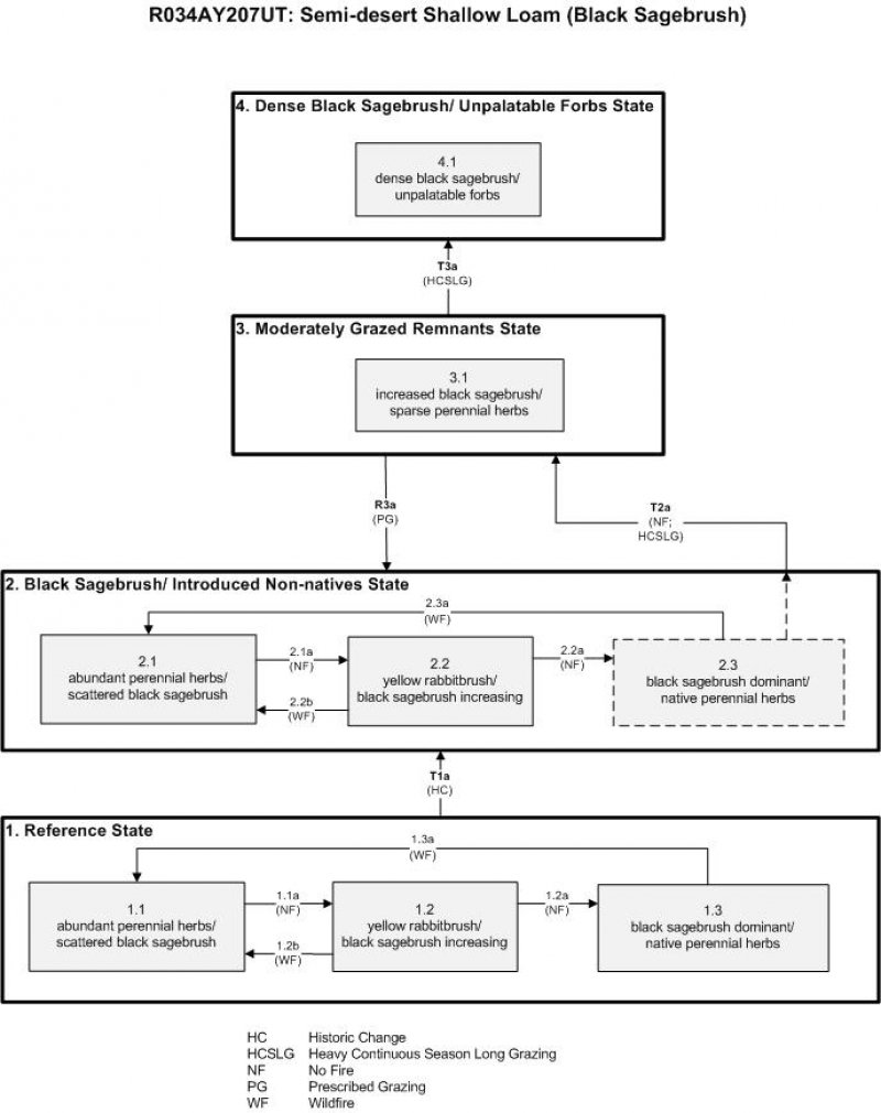 Model diagram