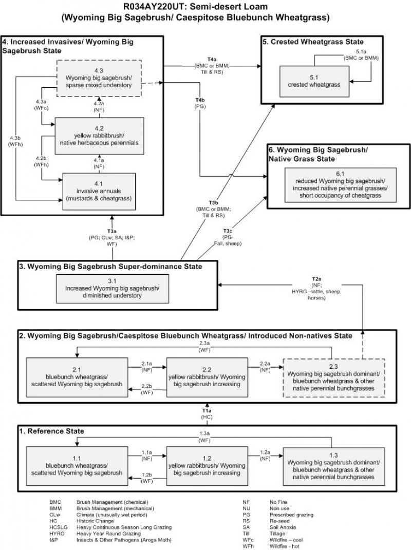 Model diagram
