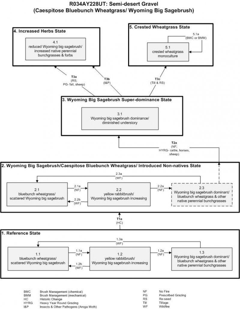 Model diagram