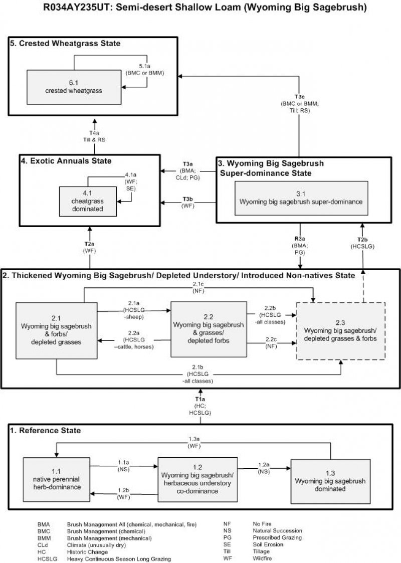 Model diagram