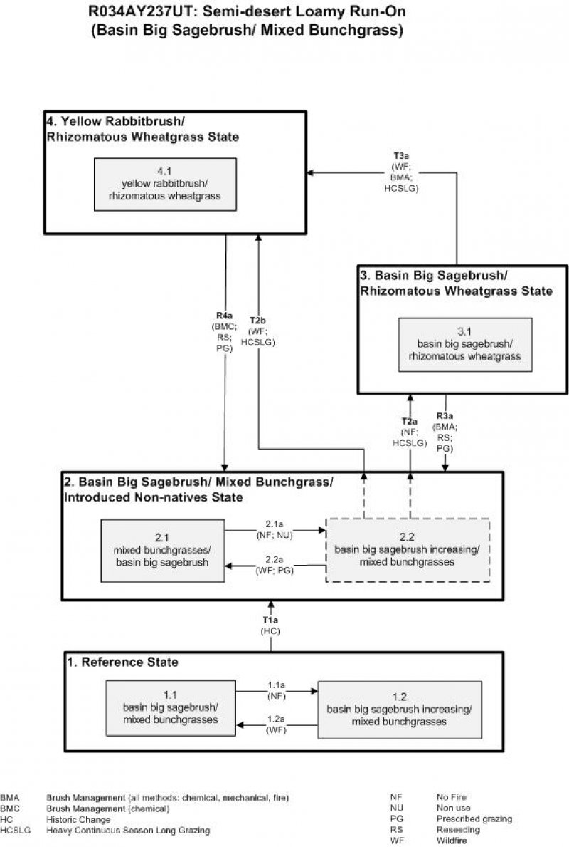 Model diagram
