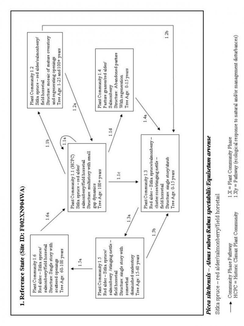Model diagram
