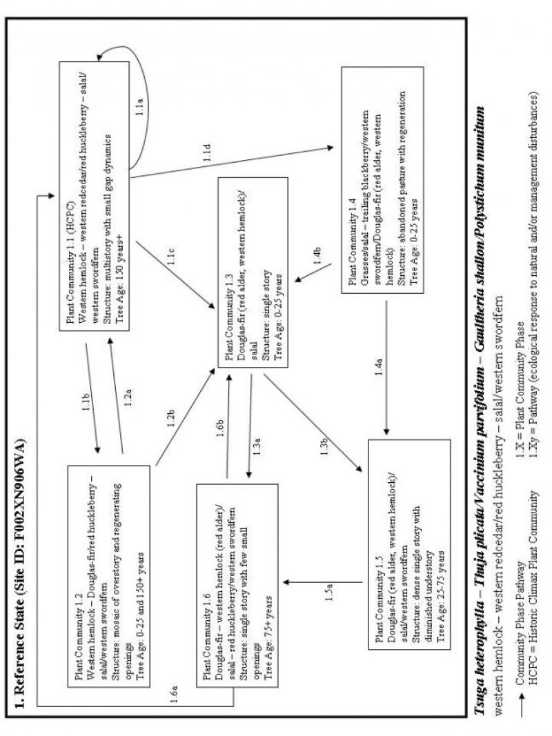 Model diagram