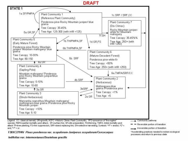 Model diagram