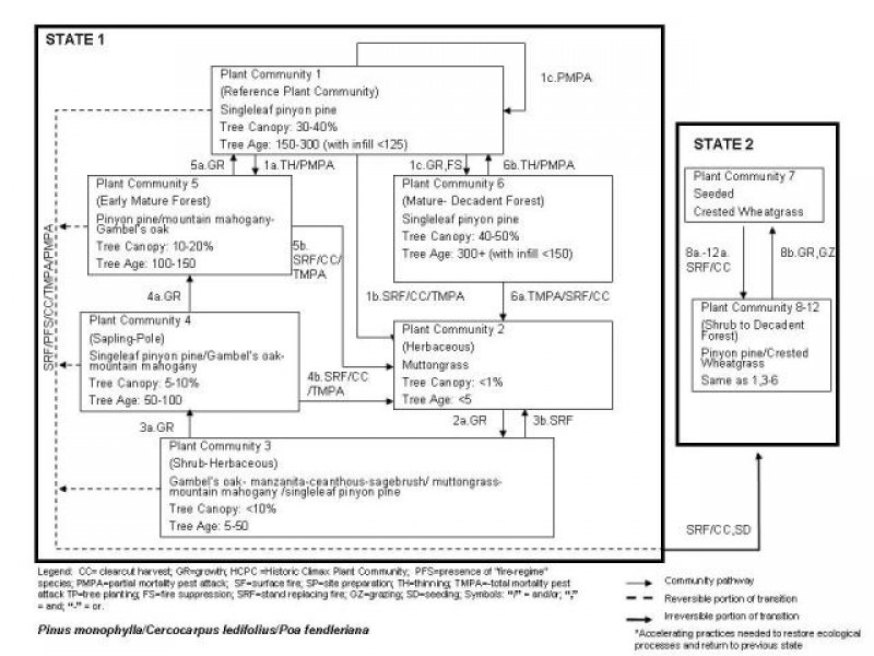 Model diagram