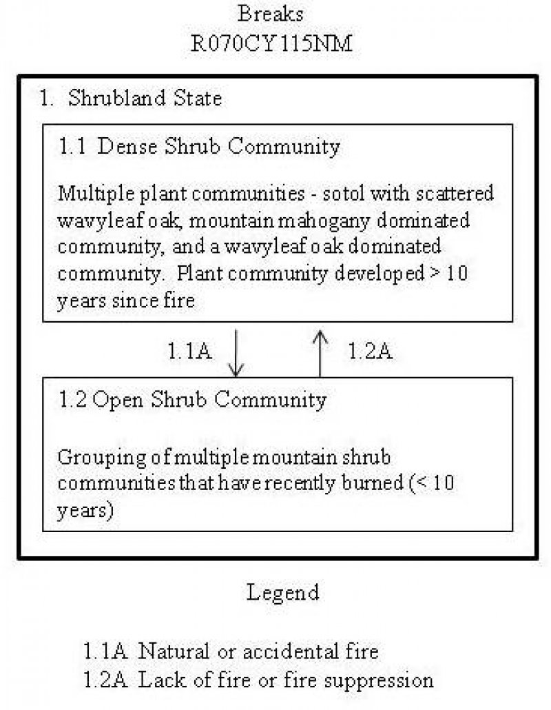 Model diagram