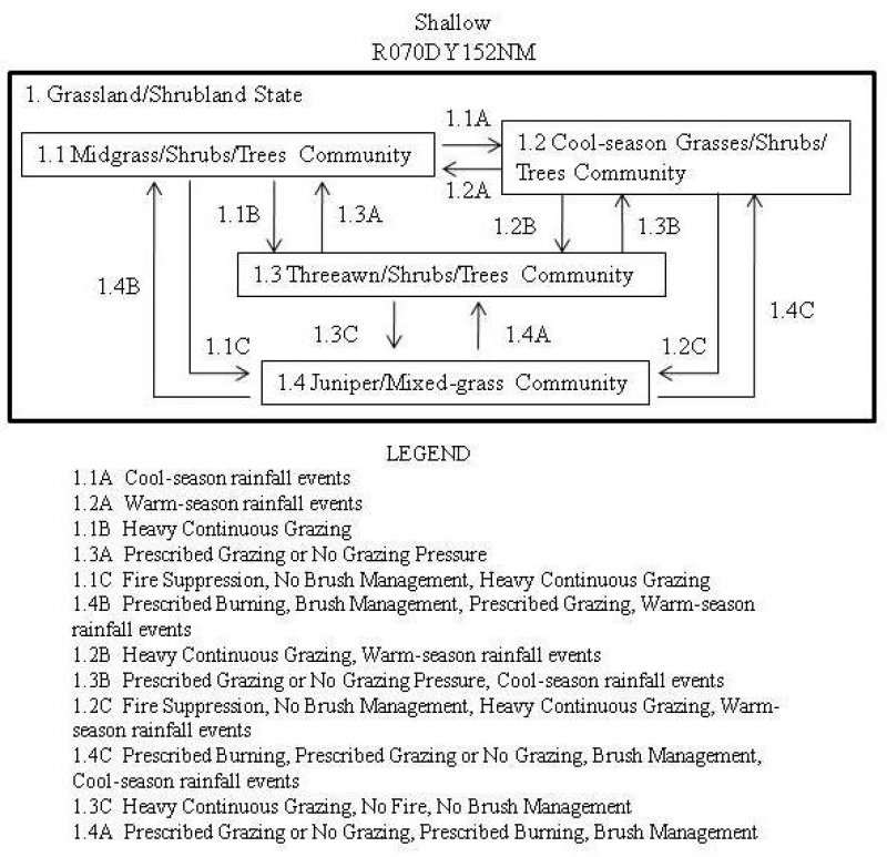 Model diagram