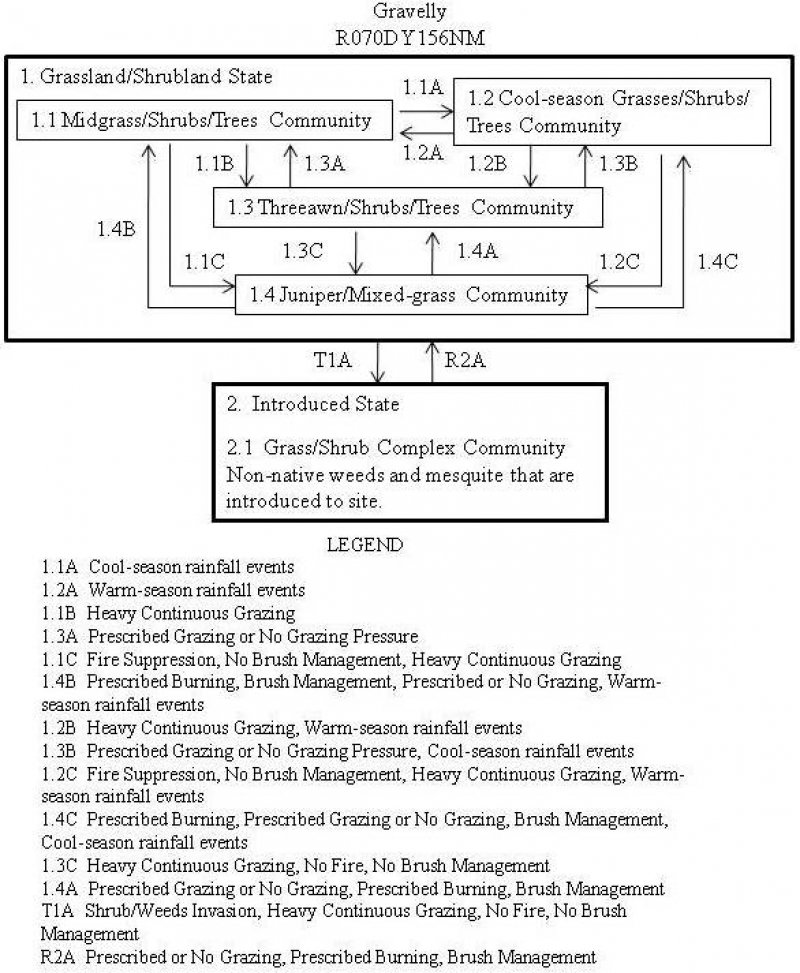 Model diagram