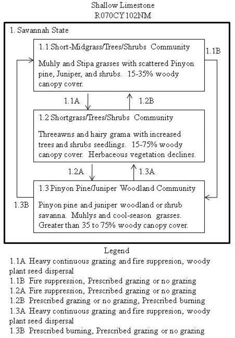 Model diagram