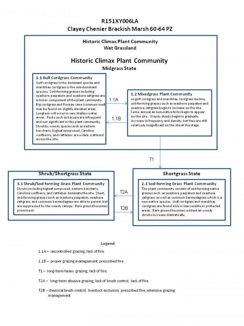 Model diagram