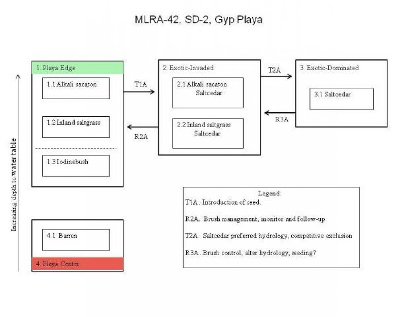 Model diagram