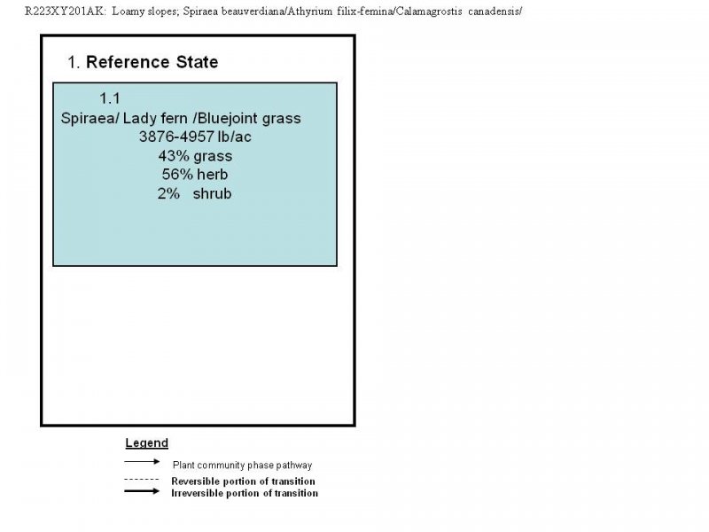 Model diagram