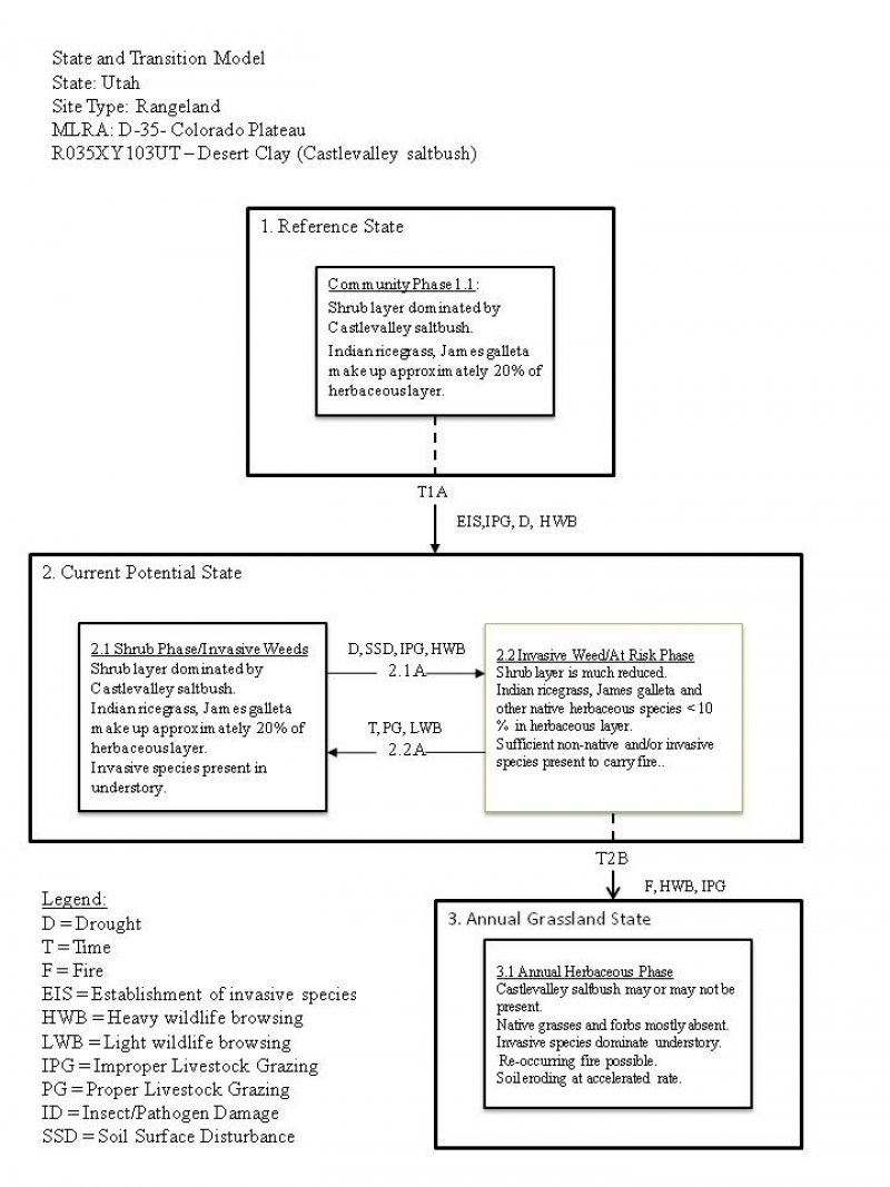 Model diagram
