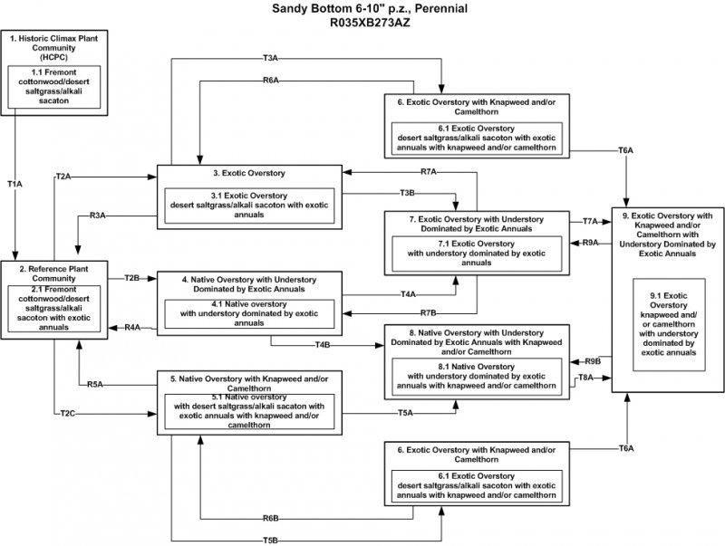 Model diagram