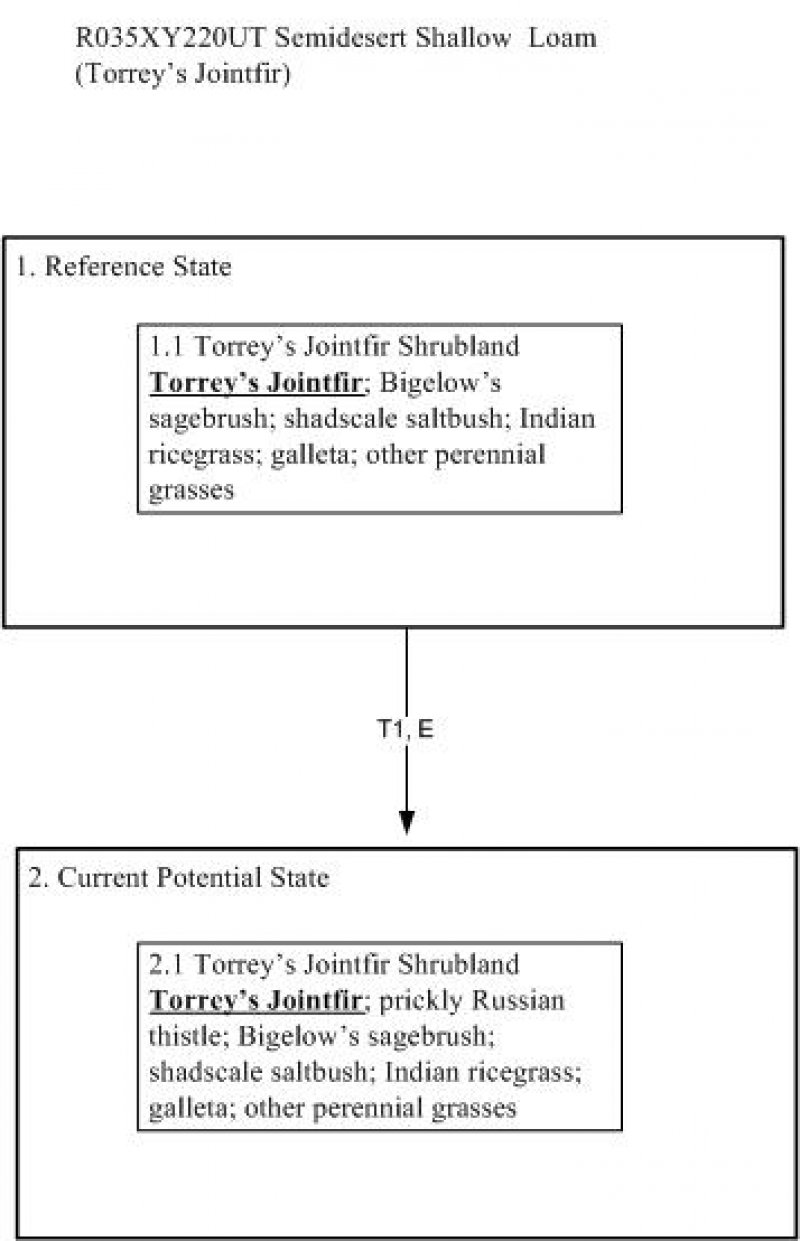 Model diagram
