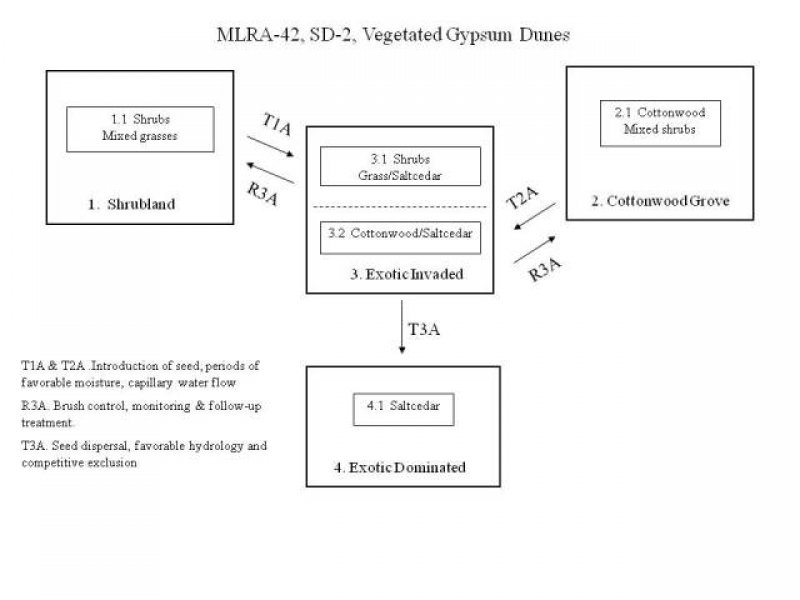 Model diagram