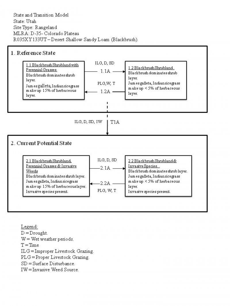 Model diagram
