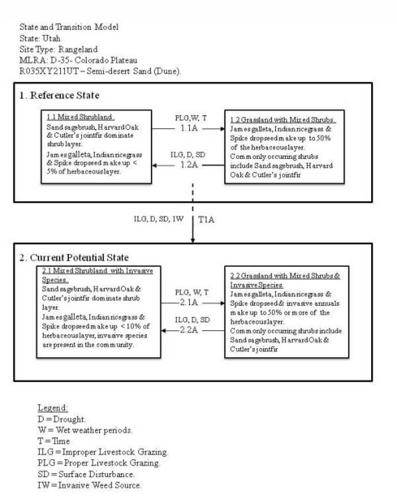Model diagram
