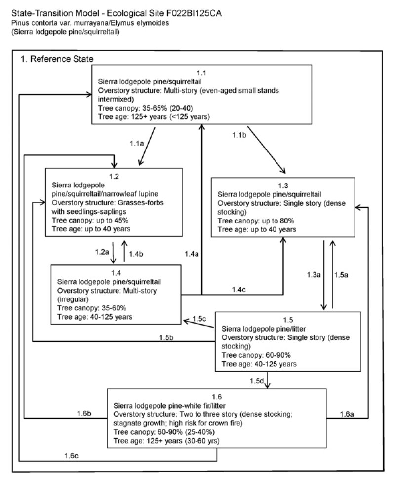 Model diagram