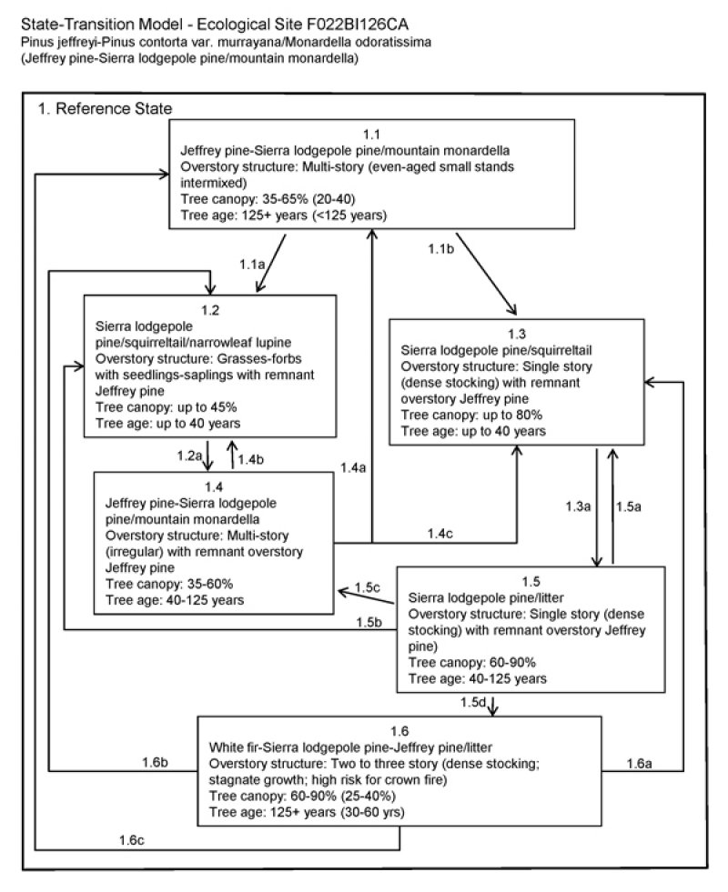 Model diagram