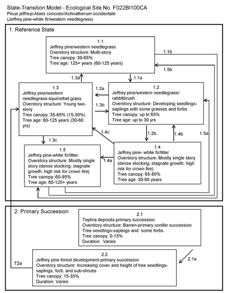 Model diagram