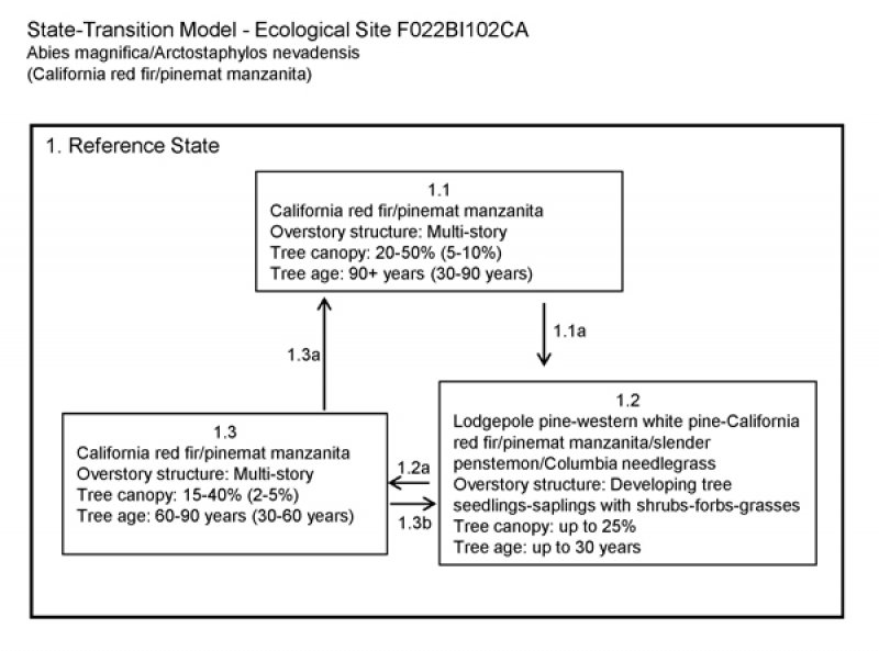 Model diagram