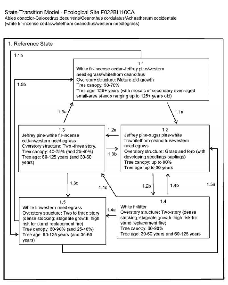 Model diagram