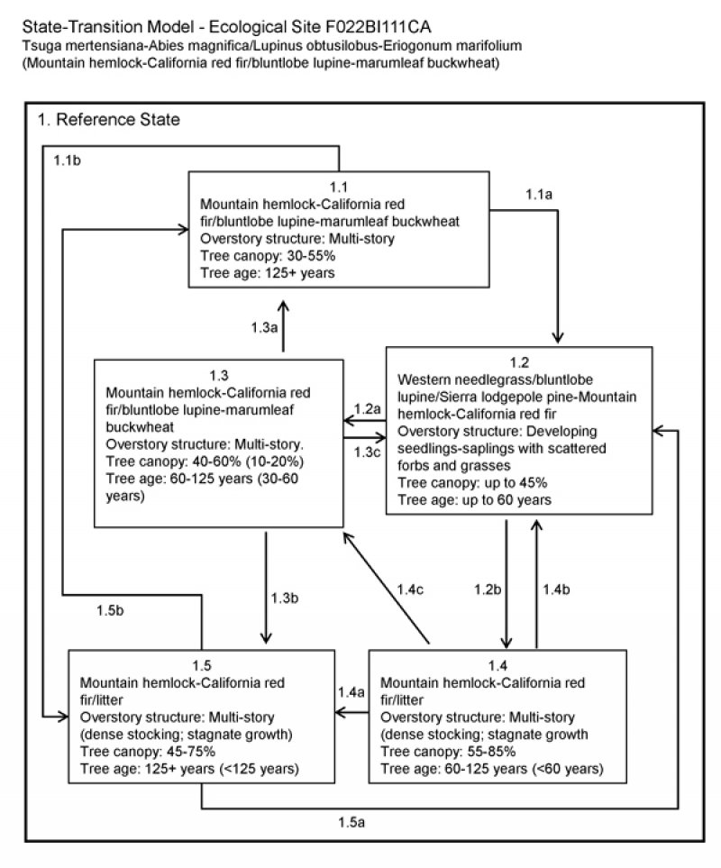Model diagram